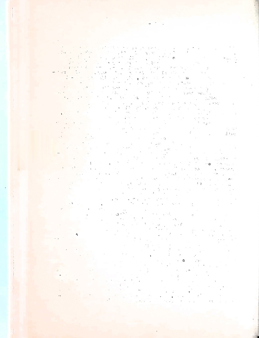 Om het voortbestaan van de flamingo's van Zuid-Bonaire, 1957-1967 - New Page