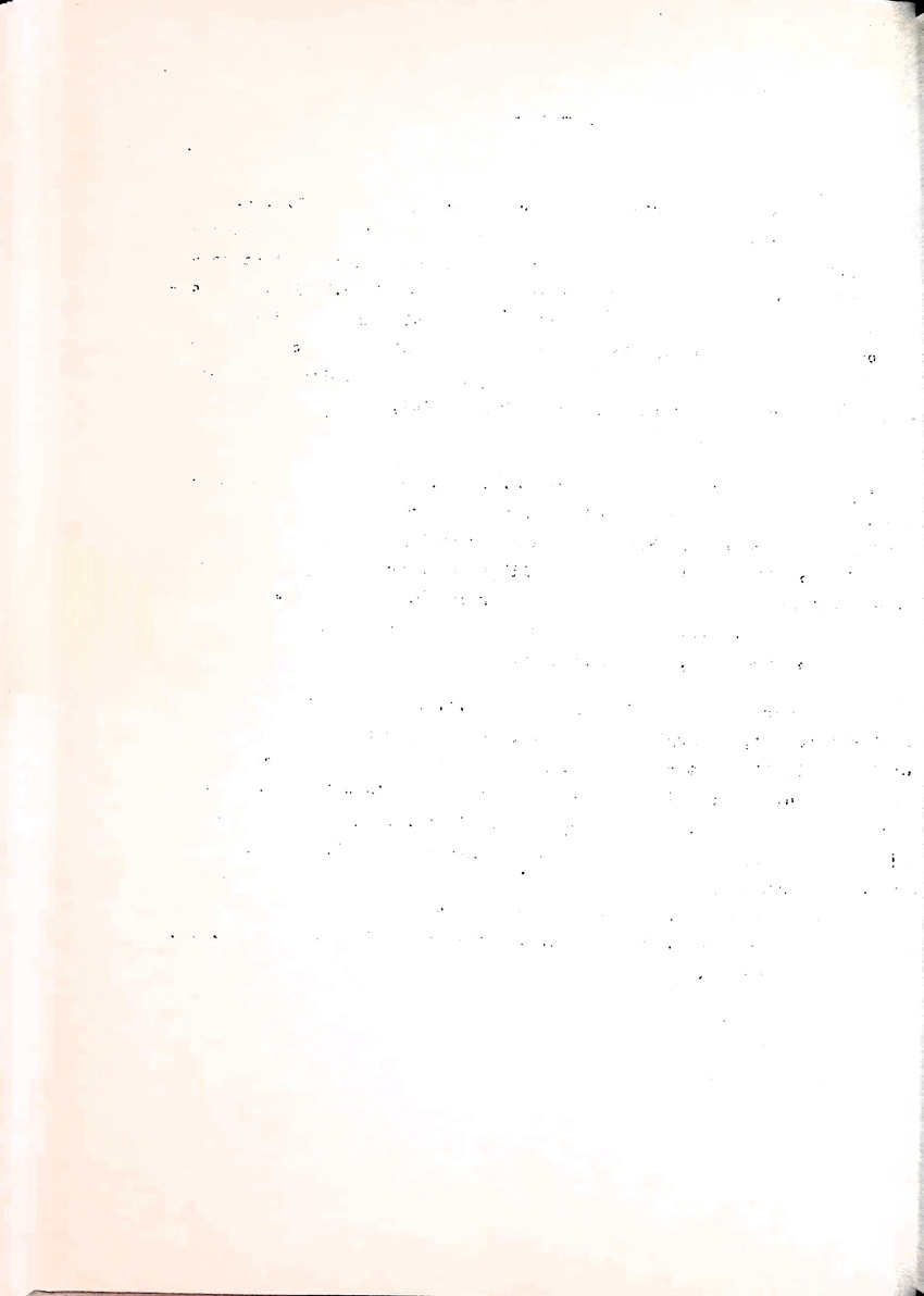 Om het voortbestaan van de flamingo's van Zuid-Bonaire, 1957-1967 - New Page