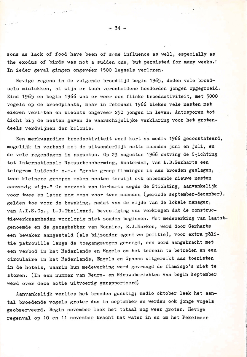 Om het voortbestaan van de flamingo's van Zuid-Bonaire, 1957-1967 - New Page