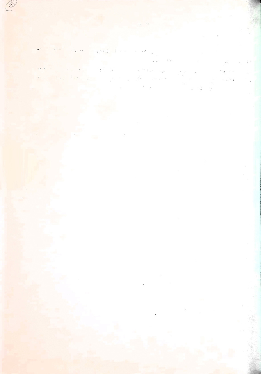 Om het voortbestaan van de flamingo's van Zuid-Bonaire, 1957-1967 - New Page