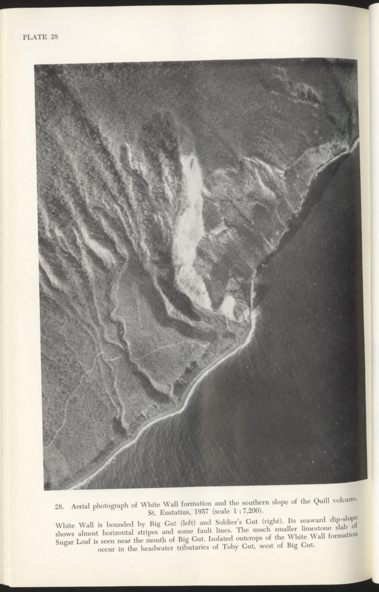 The Geology of Saba and St. Eustatius - with notes on the geology of St. Kitts, Nevis and Montserrat (Lesser Antilles) - New Page