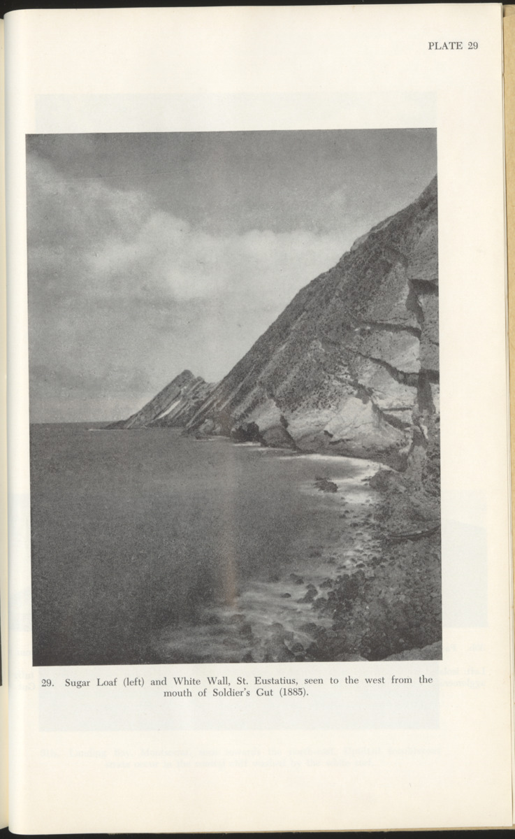 The Geology of Saba and St. Eustatius - with notes on the geology of St. Kitts, Nevis and Montserrat (Lesser Antilles) - New Page