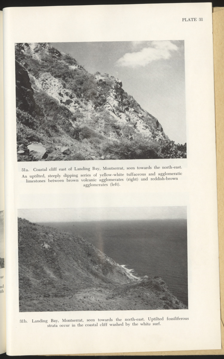 The Geology of Saba and St. Eustatius - with notes on the geology of St. Kitts, Nevis and Montserrat (Lesser Antilles) - New Page