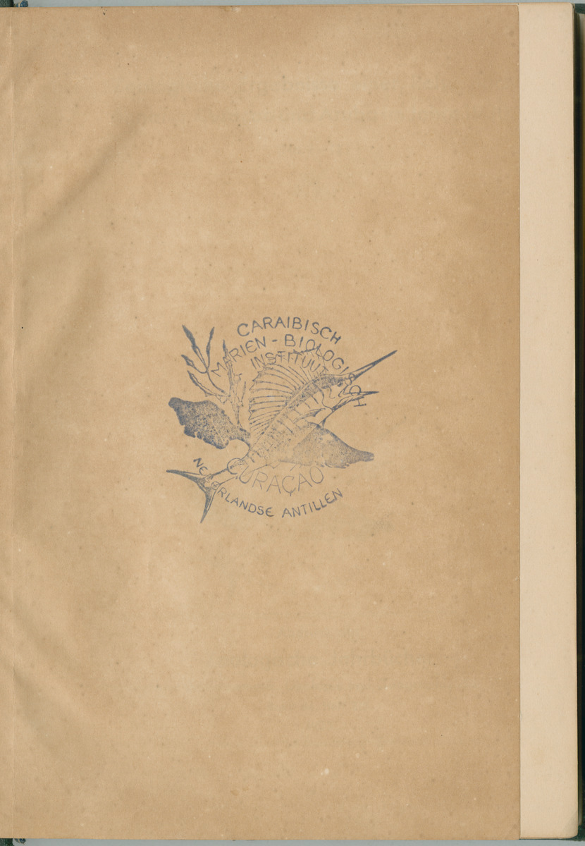 Zoologische Ergebnisse einer Reise nach Bonaire, Curacao und  Aruba im Jahre 1930 - 1. Teil - New Page