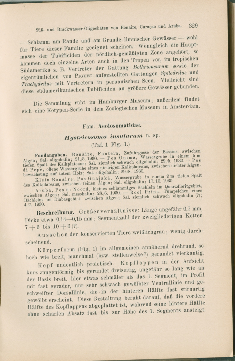 Zoologische Ergebnisse einer Reise nach Bonaire, Curacao und  Aruba im Jahre 1930 - 1. Teil - New Page