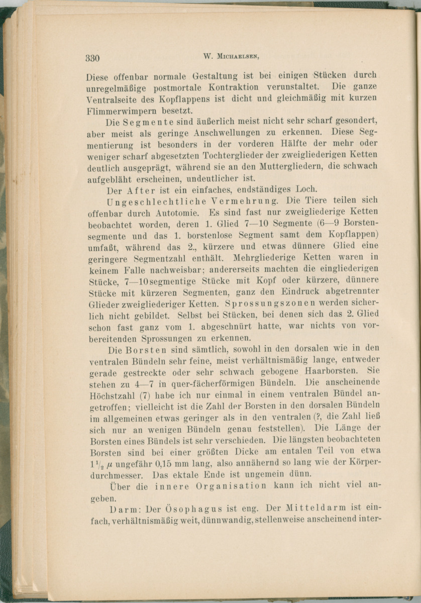 Zoologische Ergebnisse einer Reise nach Bonaire, Curacao und  Aruba im Jahre 1930 - 1. Teil - New Page
