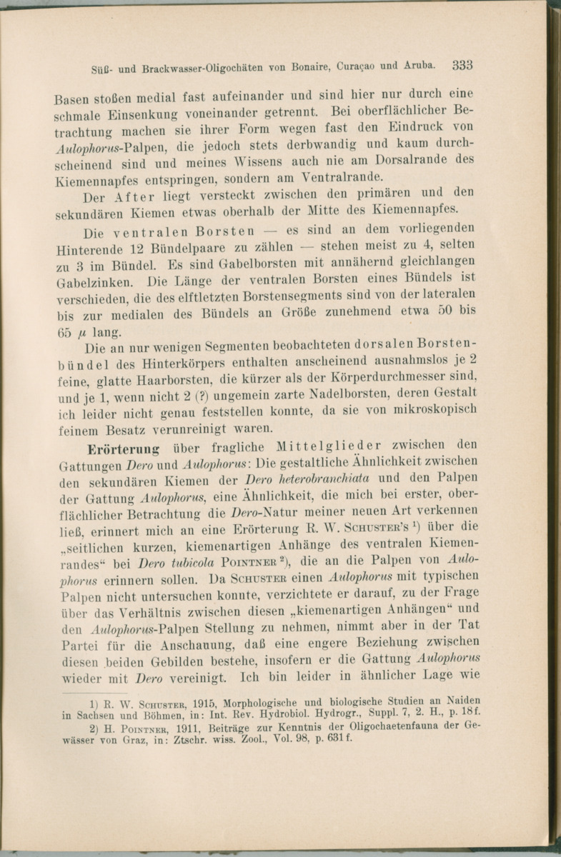 Zoologische Ergebnisse einer Reise nach Bonaire, Curacao und  Aruba im Jahre 1930 - 1. Teil - New Page