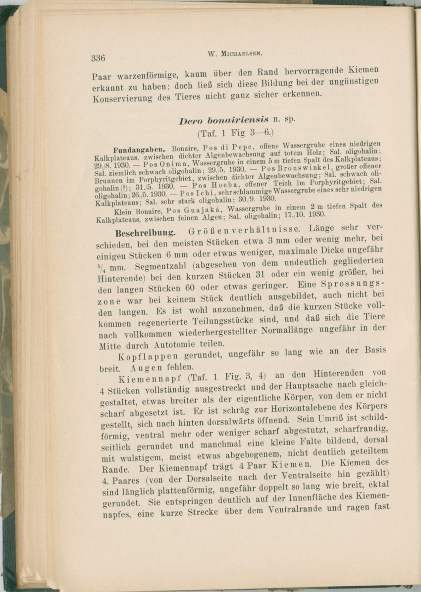 Zoologische Ergebnisse einer Reise nach Bonaire, Curacao und  Aruba im Jahre 1930 - 1. Teil - New Page