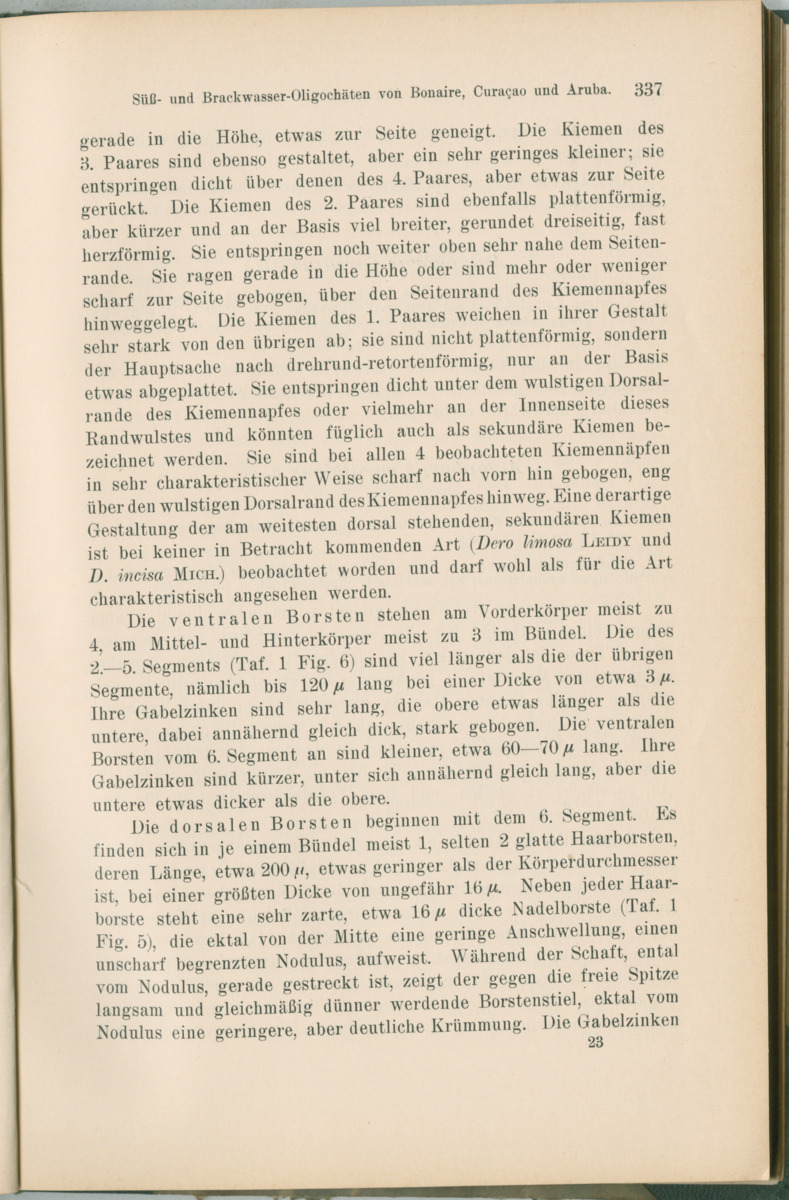 Zoologische Ergebnisse einer Reise nach Bonaire, Curacao und  Aruba im Jahre 1930 - 1. Teil - New Page