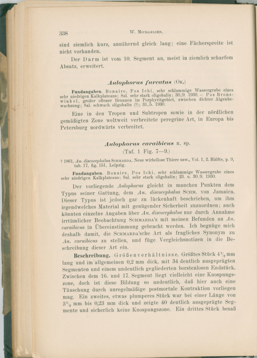 Zoologische Ergebnisse einer Reise nach Bonaire, Curacao und  Aruba im Jahre 1930 - 1. Teil - New Page