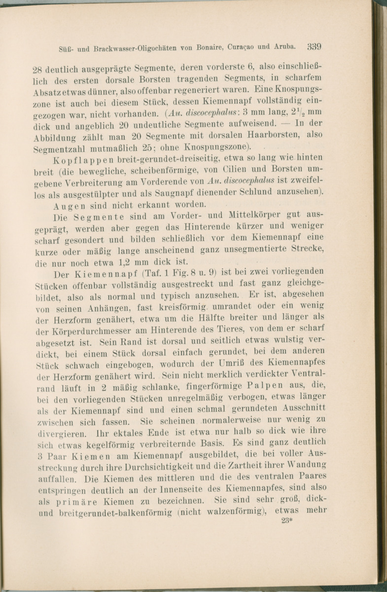 Zoologische Ergebnisse einer Reise nach Bonaire, Curacao und  Aruba im Jahre 1930 - 1. Teil - New Page