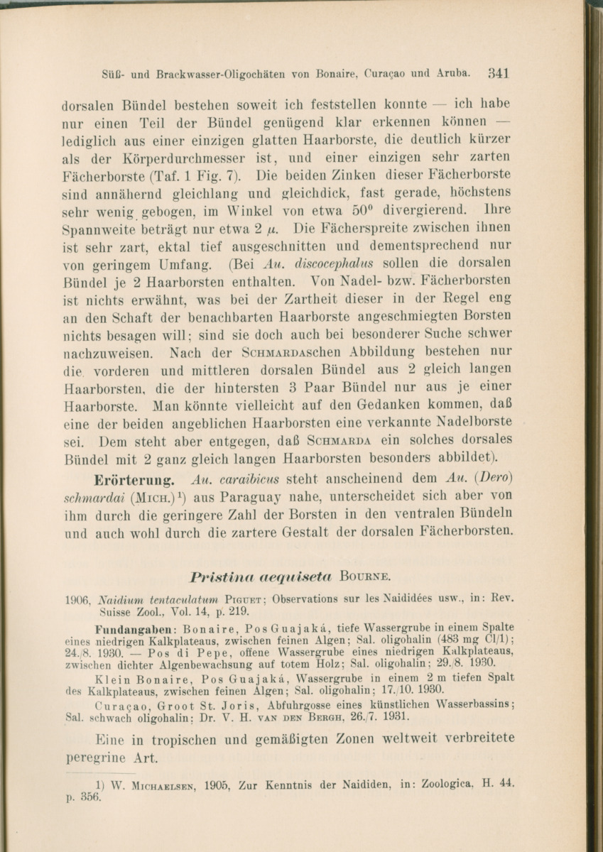 Zoologische Ergebnisse einer Reise nach Bonaire, Curacao und  Aruba im Jahre 1930 - 1. Teil - New Page