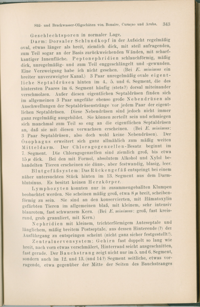 Zoologische Ergebnisse einer Reise nach Bonaire, Curacao und  Aruba im Jahre 1930 - 1. Teil - New Page