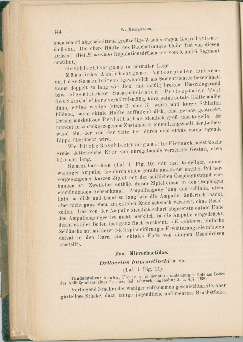 Zoologische Ergebnisse einer Reise nach Bonaire, Curacao und  Aruba im Jahre 1930 - 1. Teil - New Page