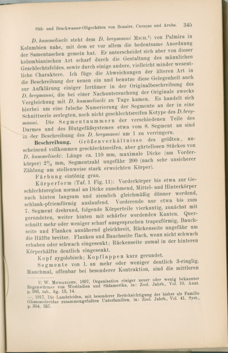 Zoologische Ergebnisse einer Reise nach Bonaire, Curacao und  Aruba im Jahre 1930 - 1. Teil - New Page