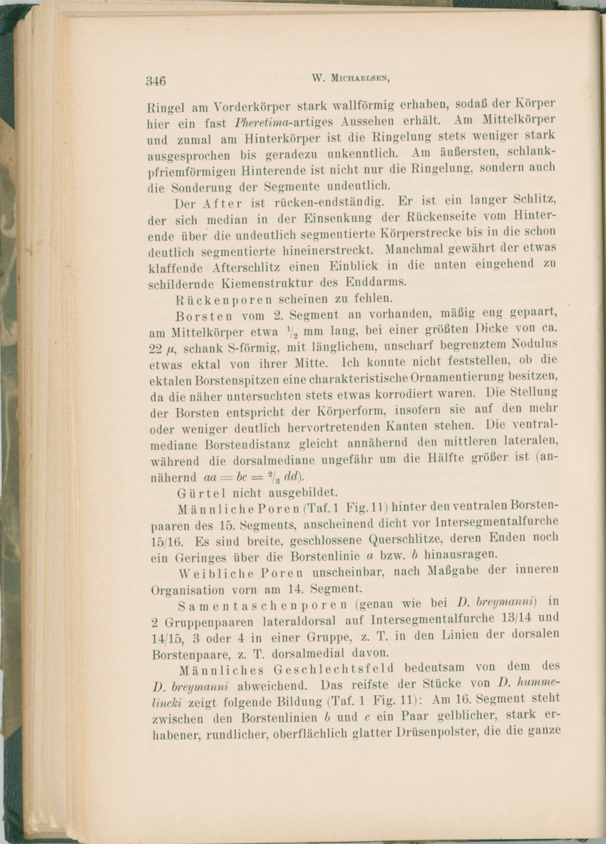 Zoologische Ergebnisse einer Reise nach Bonaire, Curacao und  Aruba im Jahre 1930 - 1. Teil - New Page
