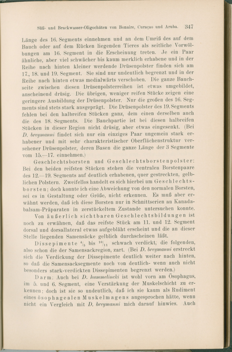 Zoologische Ergebnisse einer Reise nach Bonaire, Curacao und  Aruba im Jahre 1930 - 1. Teil - New Page