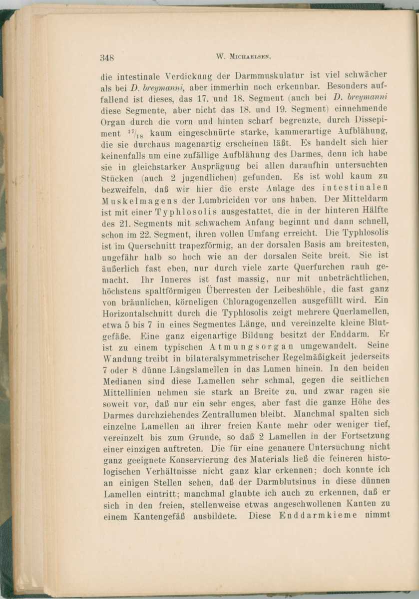 Zoologische Ergebnisse einer Reise nach Bonaire, Curacao und  Aruba im Jahre 1930 - 1. Teil - New Page
