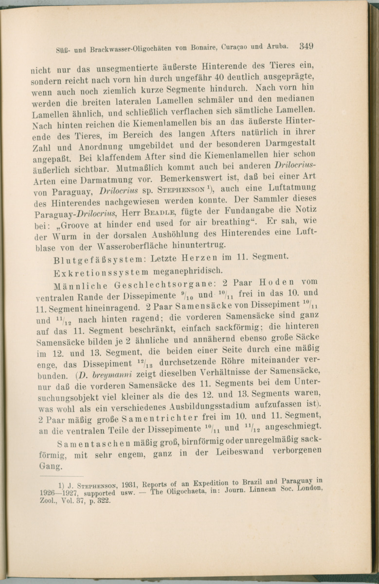 Zoologische Ergebnisse einer Reise nach Bonaire, Curacao und  Aruba im Jahre 1930 - 1. Teil - New Page
