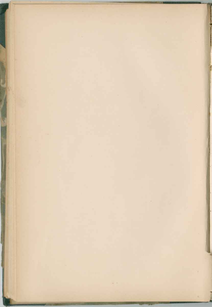 Zoologische Ergebnisse einer Reise nach Bonaire, Curacao und  Aruba im Jahre 1930 - 1. Teil - New Page