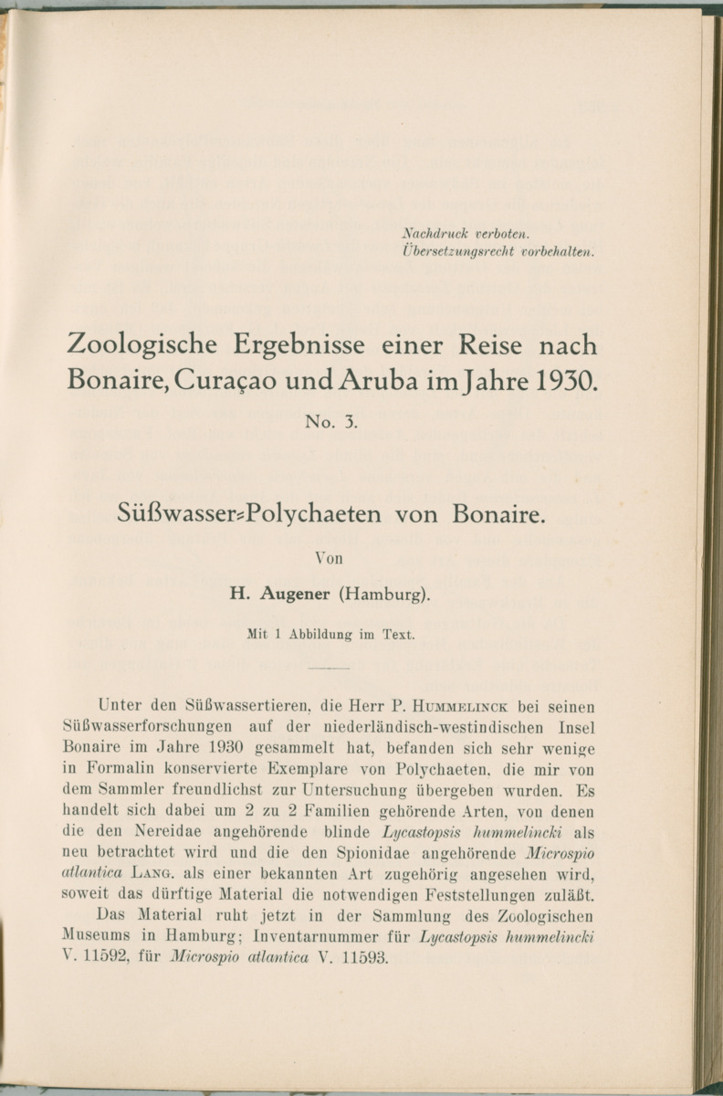 Zoologische Ergebnisse einer Reise nach Bonaire, Curacao und  Aruba im Jahre 1930 - 1. Teil - New Page