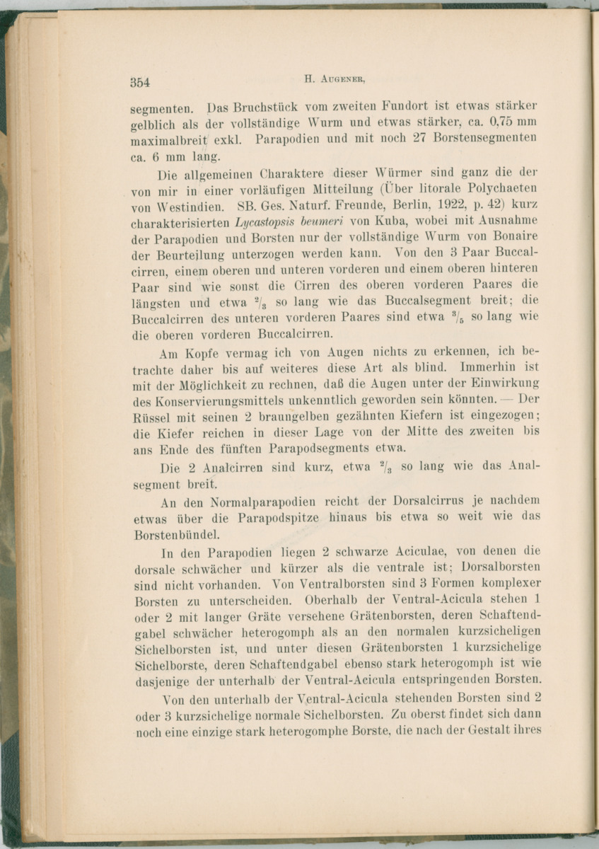 Zoologische Ergebnisse einer Reise nach Bonaire, Curacao und  Aruba im Jahre 1930 - 1. Teil - New Page