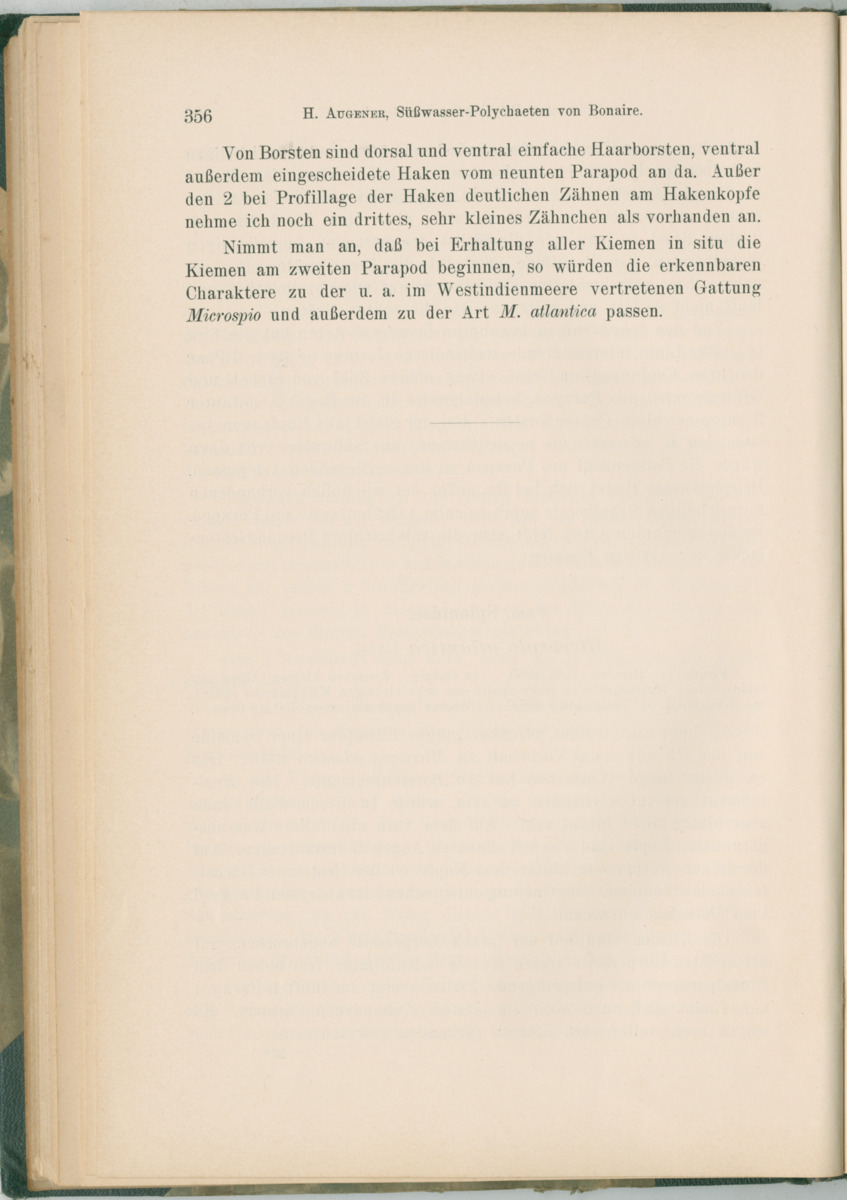 Zoologische Ergebnisse einer Reise nach Bonaire, Curacao und  Aruba im Jahre 1930 - 1. Teil - New Page