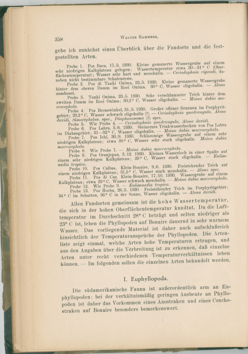 Zoologische Ergebnisse einer Reise nach Bonaire, Curacao und  Aruba im Jahre 1930 - 1. Teil - New Page