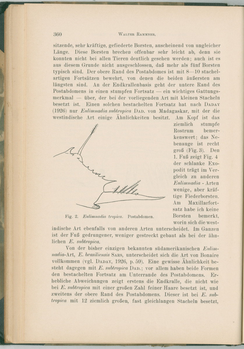 Zoologische Ergebnisse einer Reise nach Bonaire, Curacao und  Aruba im Jahre 1930 - 1. Teil - New Page