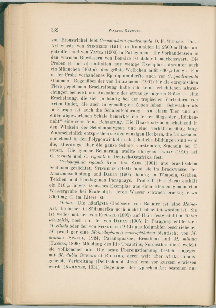 Zoologische Ergebnisse einer Reise nach Bonaire, Curacao und  Aruba im Jahre 1930 - 1. Teil - New Page