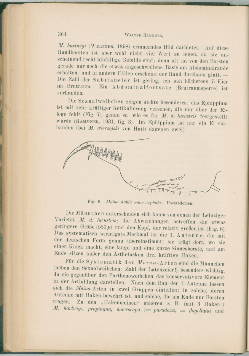 Zoologische Ergebnisse einer Reise nach Bonaire, Curacao und  Aruba im Jahre 1930 - 1. Teil - New Page
