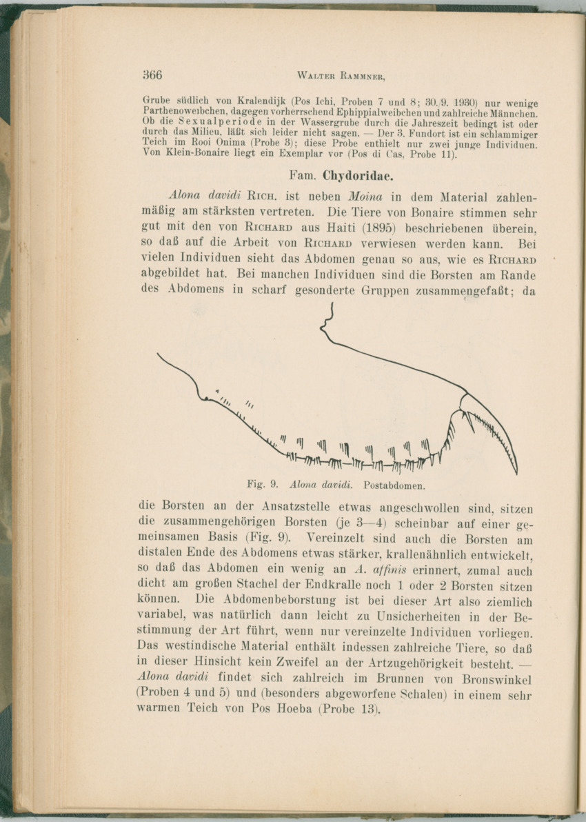 Zoologische Ergebnisse einer Reise nach Bonaire, Curacao und  Aruba im Jahre 1930 - 1. Teil - New Page