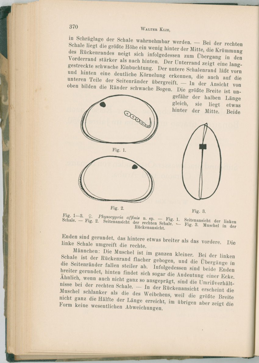 Zoologische Ergebnisse einer Reise nach Bonaire, Curacao und  Aruba im Jahre 1930 - 1. Teil - New Page
