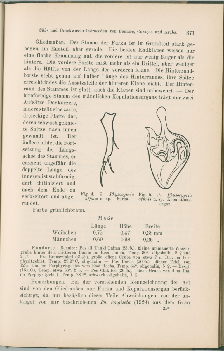 Zoologische Ergebnisse einer Reise nach Bonaire, Curacao und  Aruba im Jahre 1930 - 1. Teil - New Page