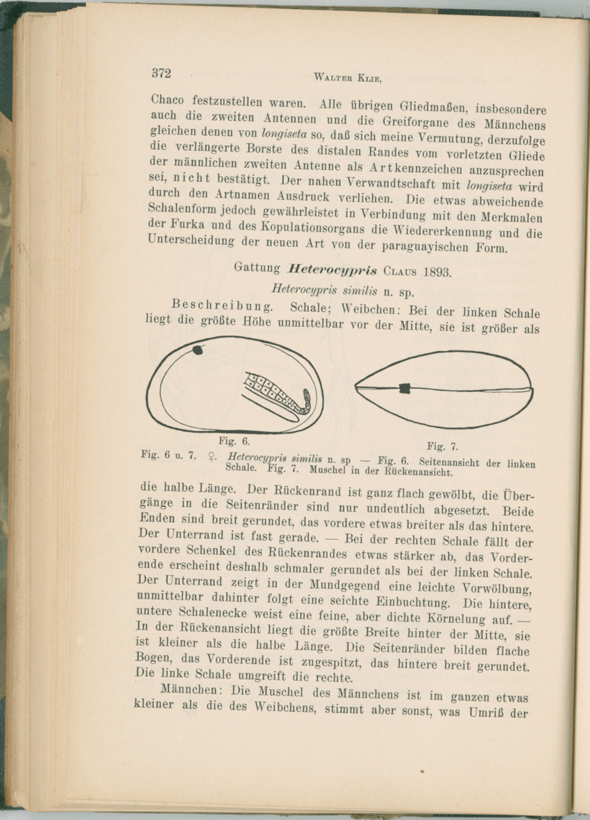 Zoologische Ergebnisse einer Reise nach Bonaire, Curacao und  Aruba im Jahre 1930 - 1. Teil - New Page
