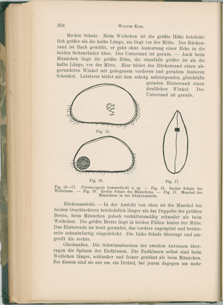 Zoologische Ergebnisse einer Reise nach Bonaire, Curacao und  Aruba im Jahre 1930 - 1. Teil - New Page