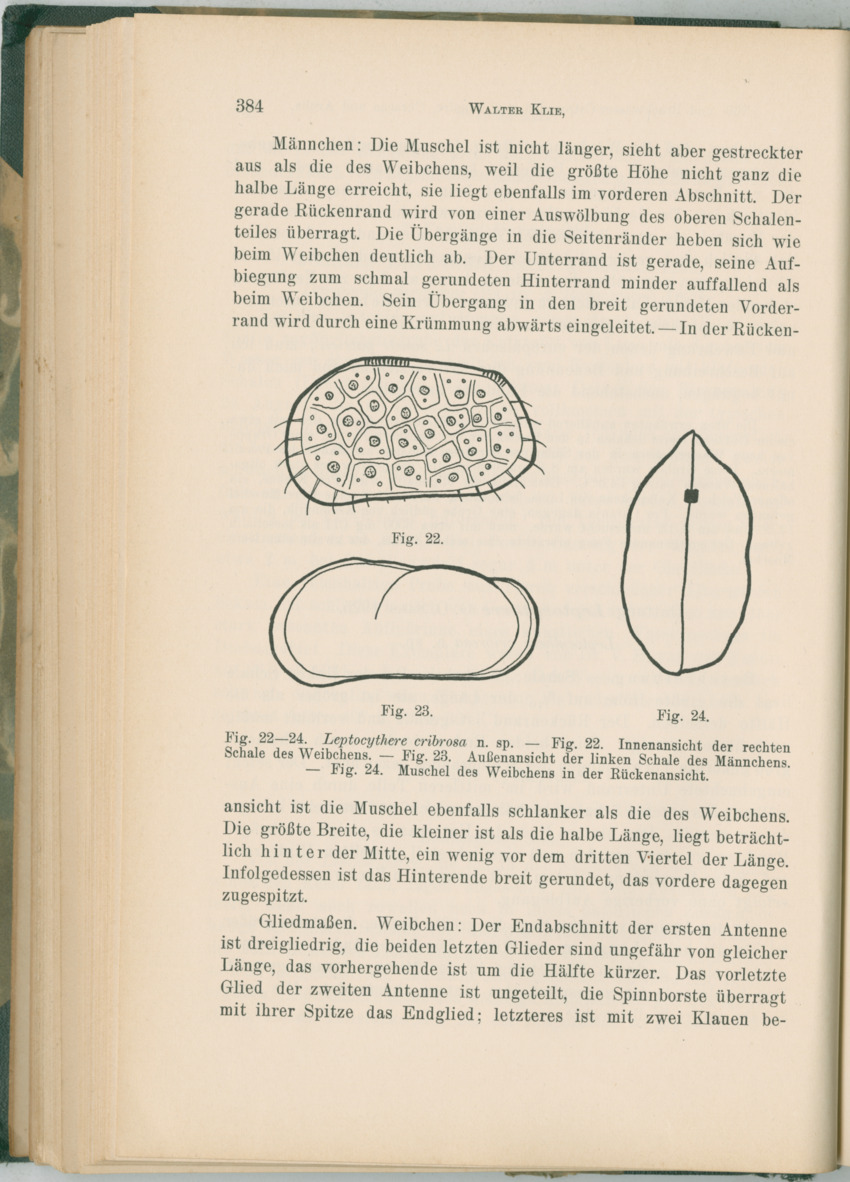 Zoologische Ergebnisse einer Reise nach Bonaire, Curacao und  Aruba im Jahre 1930 - 1. Teil - New Page