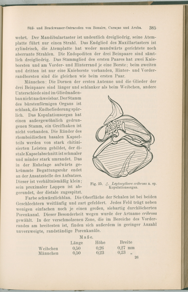 Zoologische Ergebnisse einer Reise nach Bonaire, Curacao und  Aruba im Jahre 1930 - 1. Teil - New Page