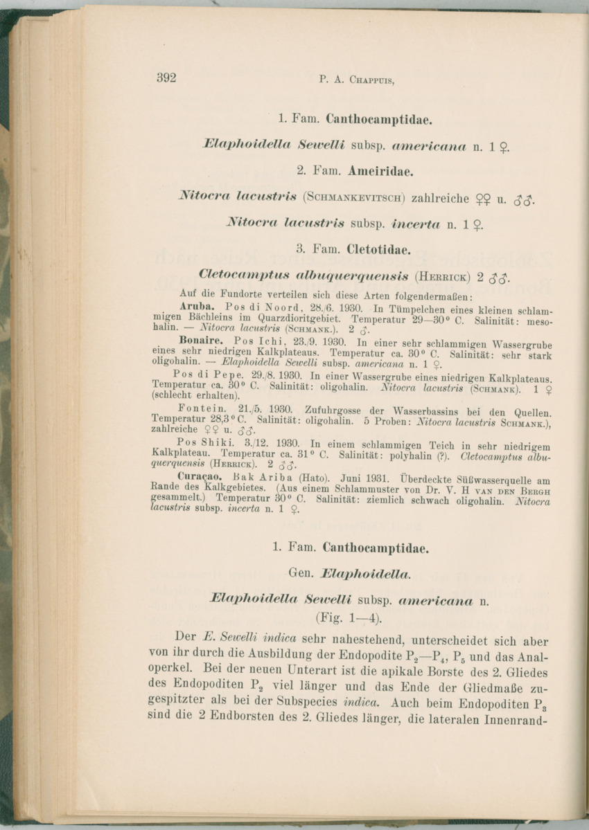 Zoologische Ergebnisse einer Reise nach Bonaire, Curacao und  Aruba im Jahre 1930 - 1. Teil - New Page