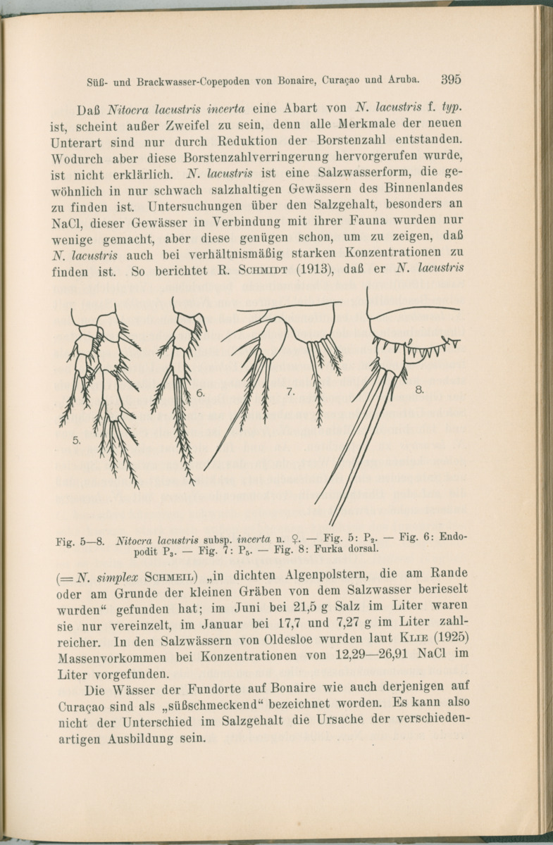 Zoologische Ergebnisse einer Reise nach Bonaire, Curacao und  Aruba im Jahre 1930 - 1. Teil - New Page