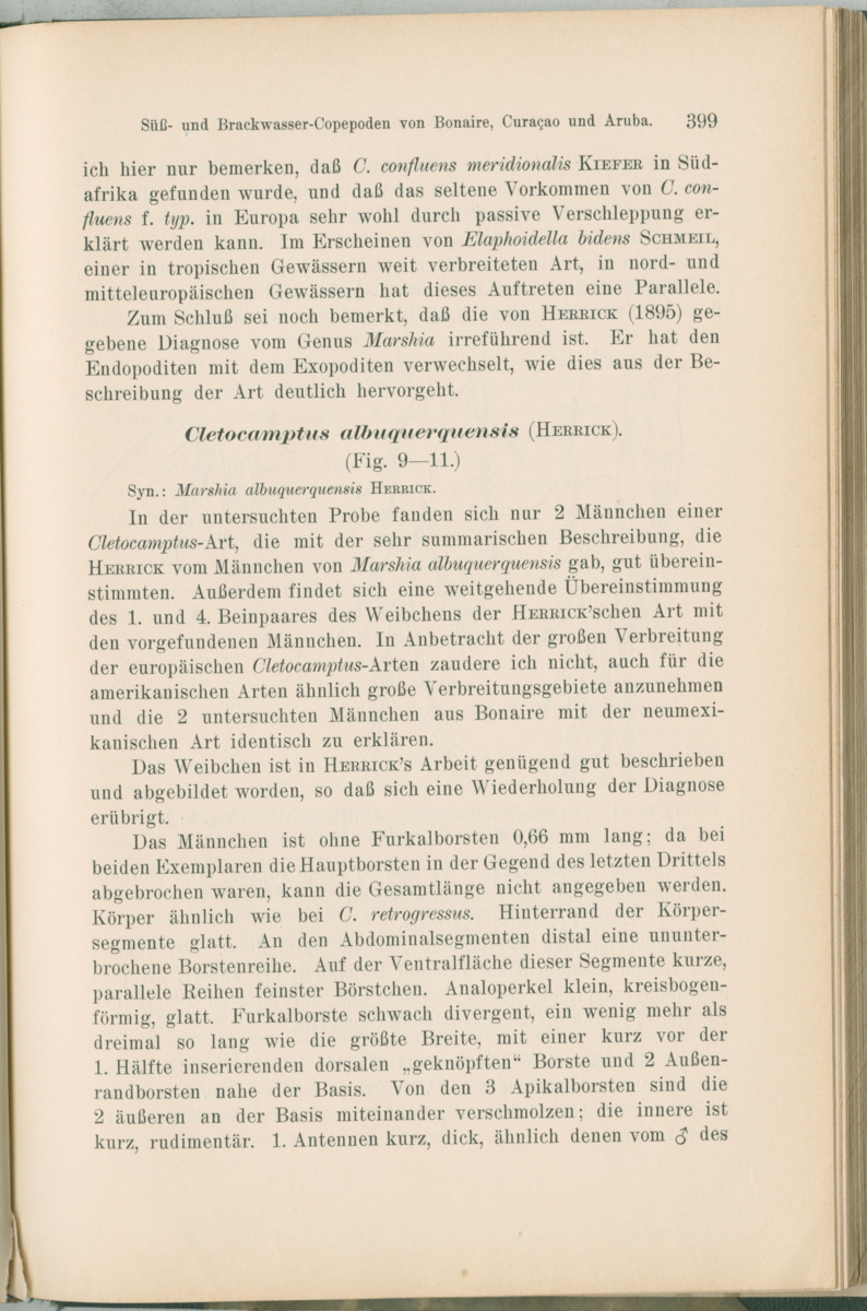 Zoologische Ergebnisse einer Reise nach Bonaire, Curacao und  Aruba im Jahre 1930 - 1. Teil - New Page