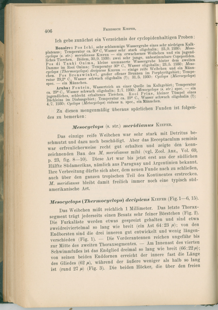 Zoologische Ergebnisse einer Reise nach Bonaire, Curacao und  Aruba im Jahre 1930 - 1. Teil - New Page