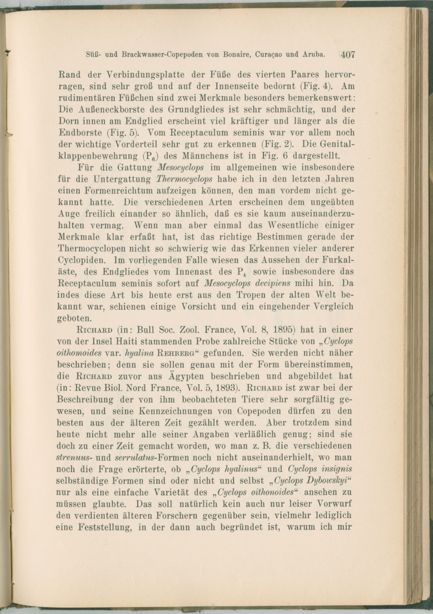 Zoologische Ergebnisse einer Reise nach Bonaire, Curacao und  Aruba im Jahre 1930 - 1. Teil - New Page