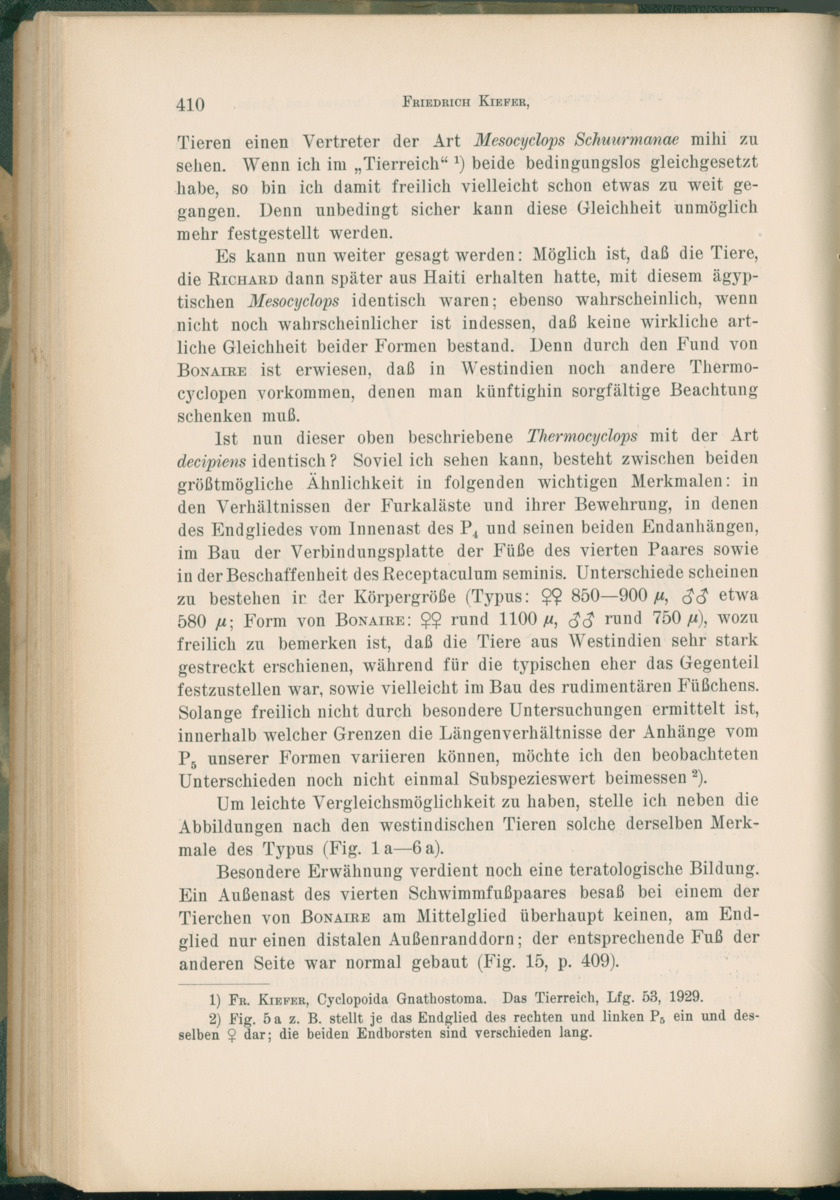Zoologische Ergebnisse einer Reise nach Bonaire, Curacao und  Aruba im Jahre 1930 - 1. Teil - New Page