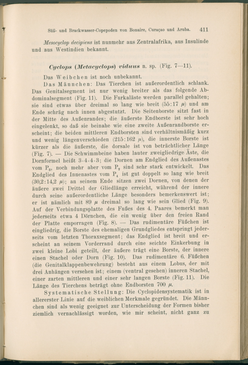 Zoologische Ergebnisse einer Reise nach Bonaire, Curacao und  Aruba im Jahre 1930 - 1. Teil - New Page