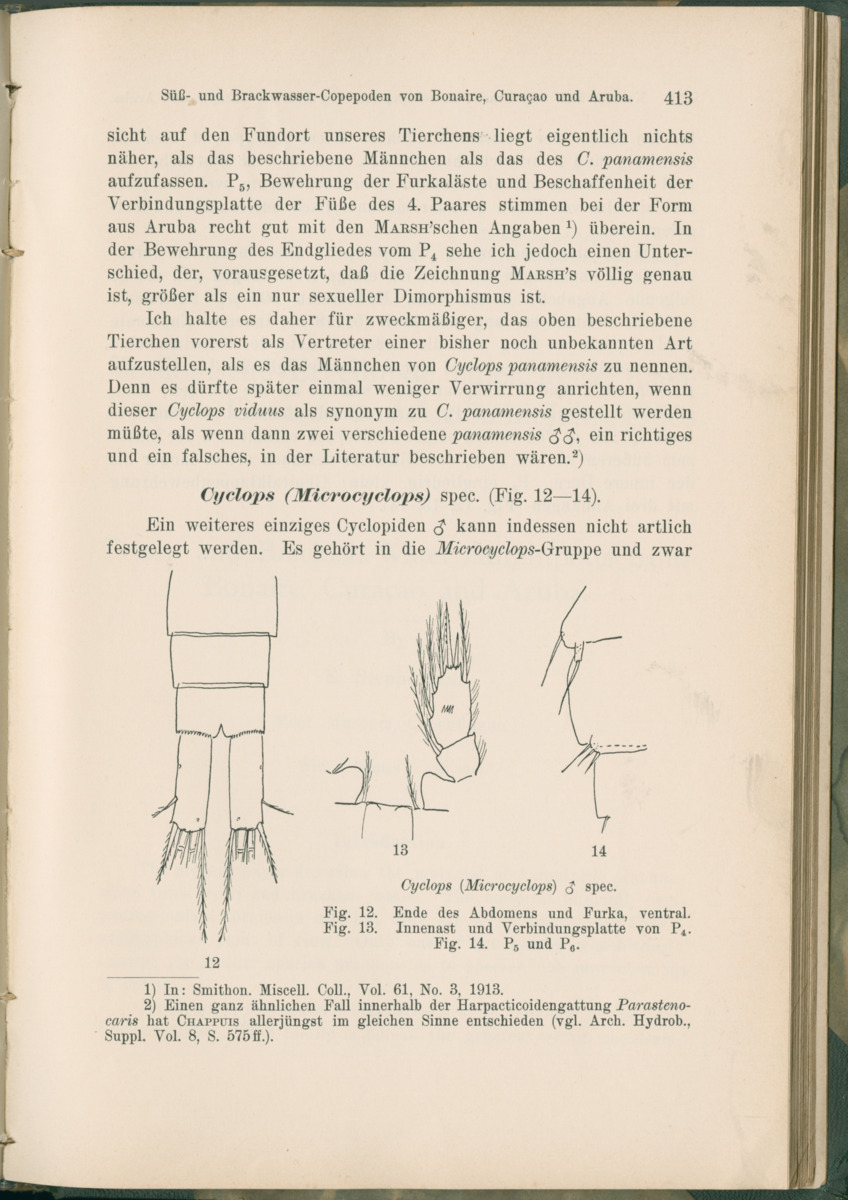 Zoologische Ergebnisse einer Reise nach Bonaire, Curacao und  Aruba im Jahre 1930 - 1. Teil - New Page