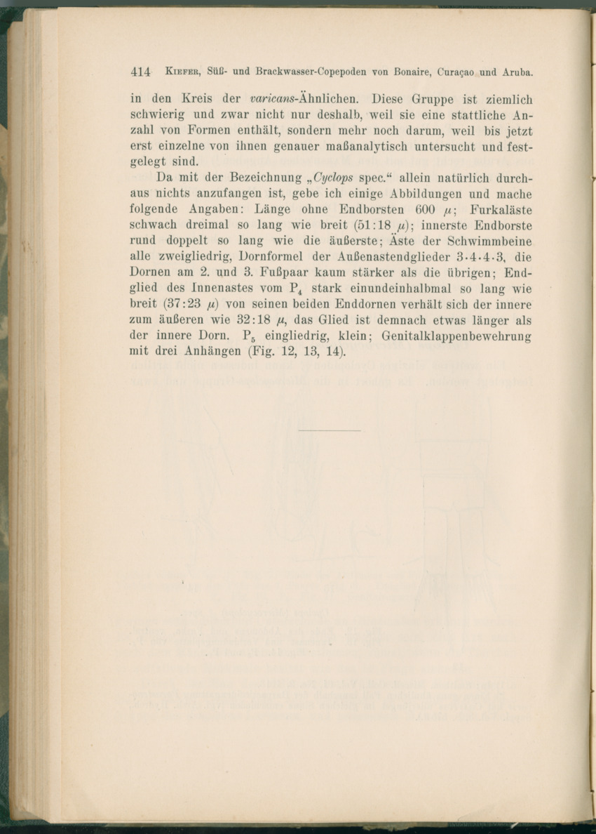 Zoologische Ergebnisse einer Reise nach Bonaire, Curacao und  Aruba im Jahre 1930 - 1. Teil - New Page