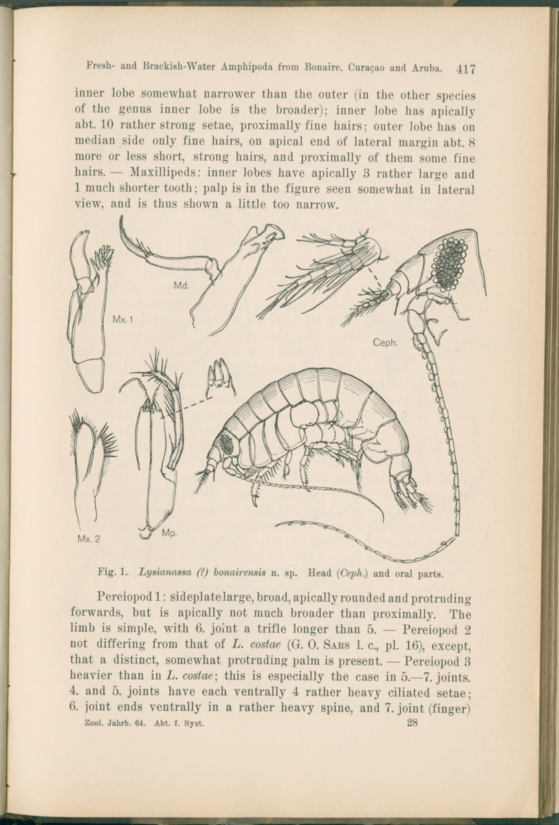 Zoologische Ergebnisse einer Reise nach Bonaire, Curacao und  Aruba im Jahre 1930 - 1. Teil - New Page