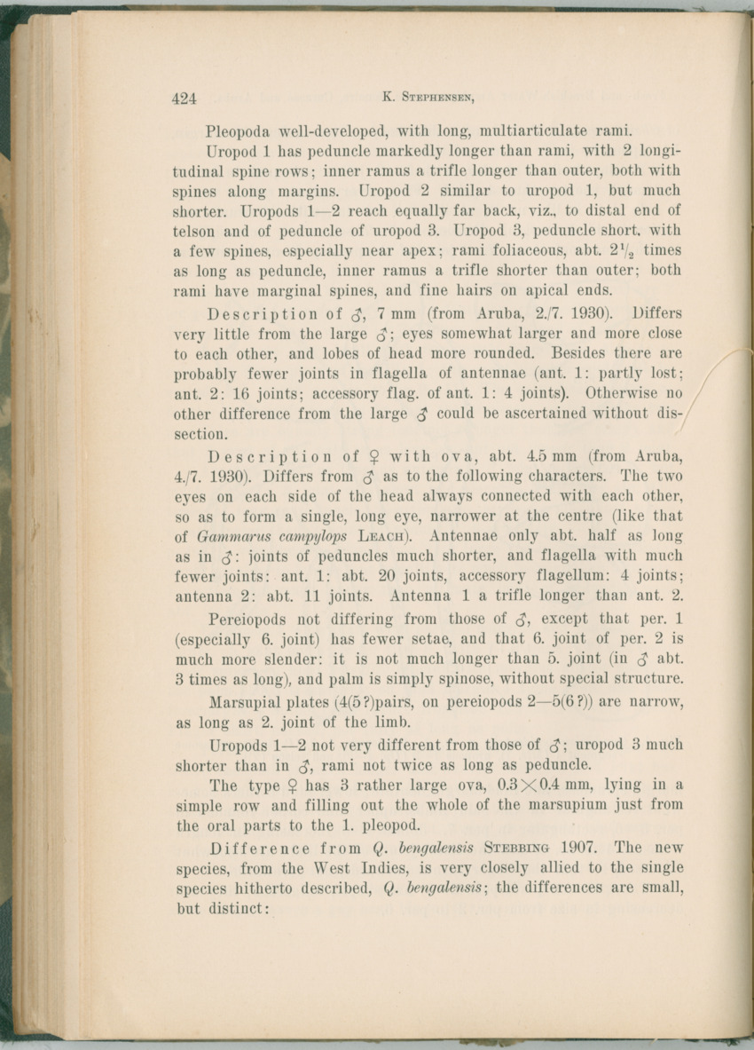 Zoologische Ergebnisse einer Reise nach Bonaire, Curacao und  Aruba im Jahre 1930 - 1. Teil - New Page