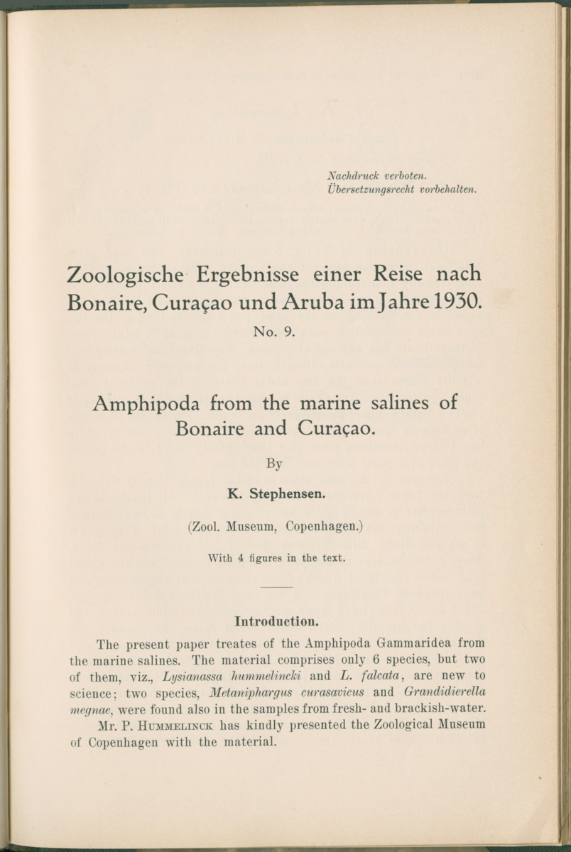 Zoologische Ergebnisse einer Reise nach Bonaire, Curacao und  Aruba im Jahre 1930 - 1. Teil - New Page